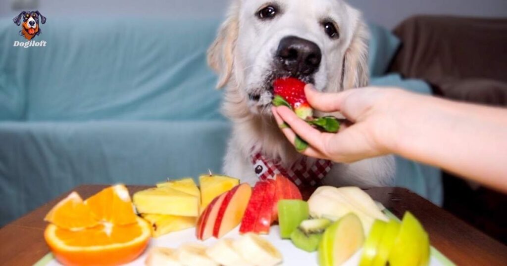 What fruit can’t dogs eat?