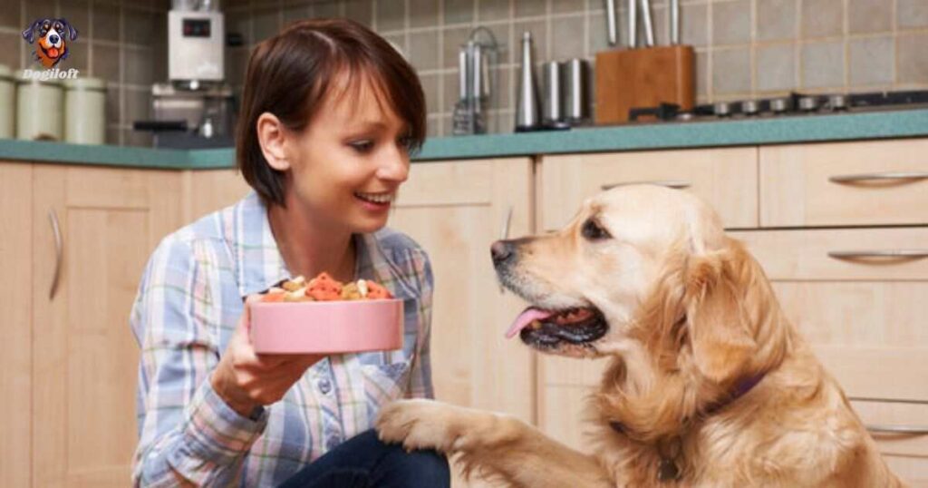 When it comes to dog hunger and feeding your dog consult with the pros