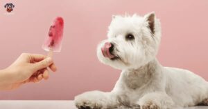 Can Dogs Eat Ice Cream